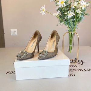 Manolo Blahnik Hangisi FMC High Heels Pumps